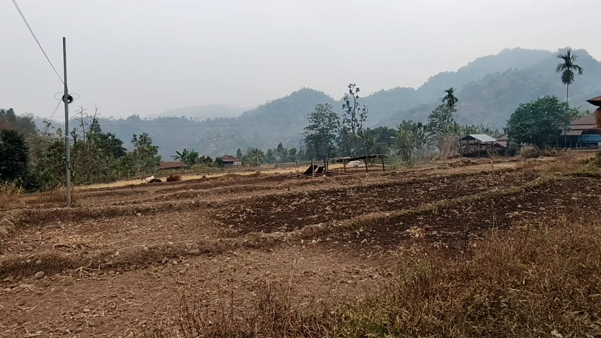 इलामको फुङनामबासी सडक र विद्युत् अभावले कष्टकर जीवन जिउन बाध्य